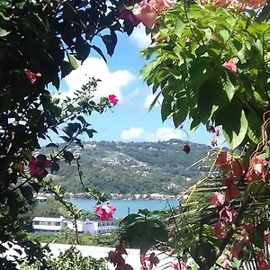 kay-zanndoli.comcaribbean.com/